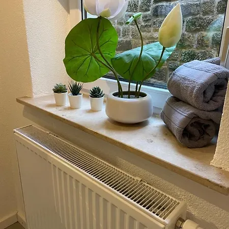 Apartmenthaus Elbblick Bad Schandau