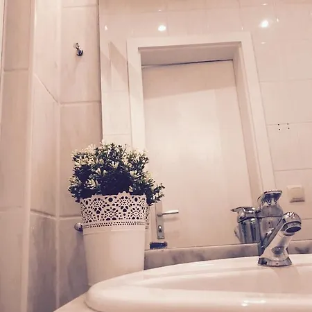 Apartment Apartmenthaus Elbblick Bad Schandau