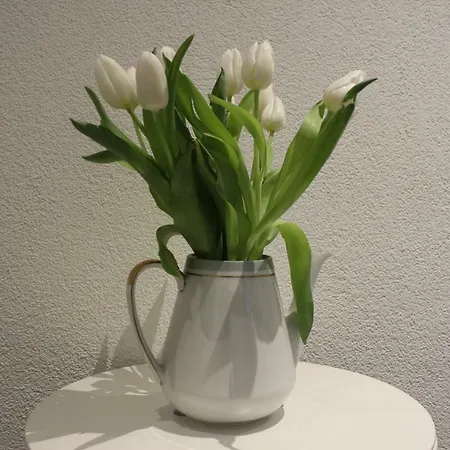 Apartmenthaus Elbblick *