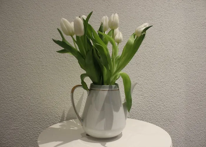 Apartmenthaus Elbblick *